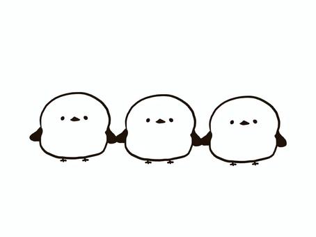 シマエナガ　集合 シマエナガ,手書き,手描き,集合,整列,かわいい,小鳥,ライン,イラストのイラスト素材