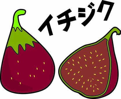 イチジク　　 イチジク,完熟,果物,果実,フルーツ,切る,断面,デフォルメ,カタカナ,線画のイラスト素材