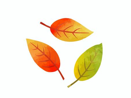 紅葉した葉っぱ3枚