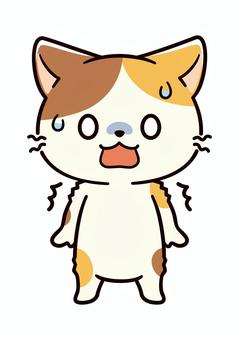怖すぎて固まってしまう可愛い三毛猫 猫,怖い,驚く,汗,硬直,ホラー,三毛猫,青ざめる,恐怖体験,危険のイラスト素材