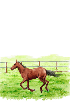 年賀ハガキ水彩走る馬 馬,午年,動物,年賀状,年賀ハガキ,干支,十二支,水彩,手描き,イラストのイラスト素材