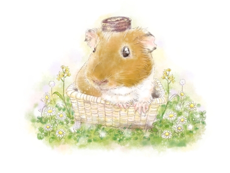 カゴに入った野原のモルモット モルモット,小動物,ペット,茶色,短毛,カゴ,蓋,野原,ピクニック,花のイラスト素材