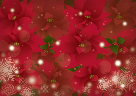 Christmas poinsettia background _ red _ horizontal, , JPG and AI