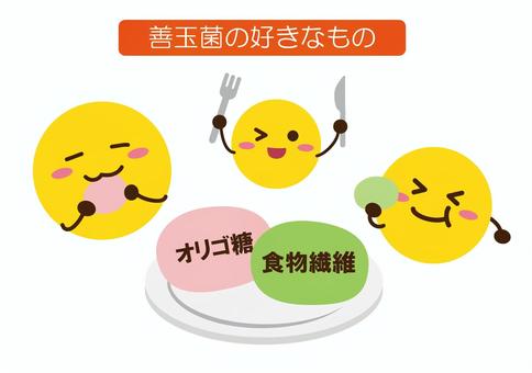 善玉菌の好きなもの 線なし 善玉菌の好きなもの 線なし 善玉菌,好物,腸内細菌,腸活,オリゴ糖,食物繊維,美容,健康,ダイエット,病気のイラスト素材