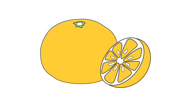 orange1 orange1 オレンジ,みかん,柑橘,フルーツ,ベクター,イラスト,手描きのイラスト素材