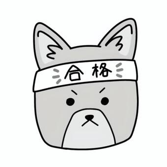 合格の犬（白黒） 合格,ハチマキ,犬,動物,ペット,生き物,柴犬,応援,受験,試験のイラスト素材