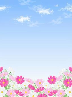 コスモスのフレーム、背景46 コスモス,秋桜,空,青空,秋,水彩,背景,フレーム,手描き,花のイラスト素材