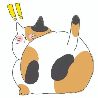 びっくりする三毛猫ちゃん♪ かわいい,びっくり,衝撃,驚く,！,びっくりマーク,警戒,振り向く,後ろ姿,おしりのイラスト素材