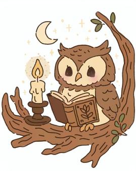 フクロウの読書 フクロウ,ミミズク,動物,鳥,猛禽類,ふわふわ,枝,木,自然,ろうそくのイラスト素材