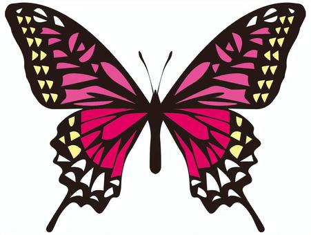 butterfly, spring, butterfly, creatures, JPG, PNG and EPS