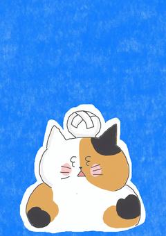 ケガをした三毛猫ちゃん ケガをした三毛猫ちゃん かわいい,ケガ,痛い,たんこぶ,注意,注意喚起,危ない,危険,びっくり,衝撃のイラスト素材