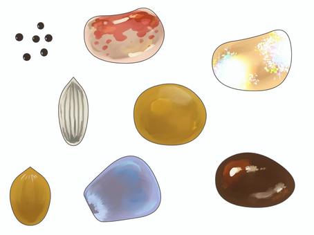 種いろいろ 種,シード,植物,実,成長,生命力,多様性,バリエーション,コレクション,未来のイラスト素材