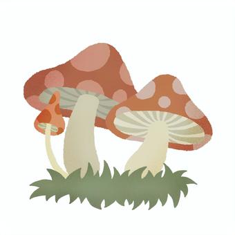 きのこ きのこ,秋,きのこ狩り,パステル調,かわいい,草,植物,秋の味覚,食べ物のイラスト素材