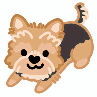 ハート鼻のヨークシャーテリア（ふせ）2 ヨークシャーテリア,犬,動物,ハート,鼻,ふせ,シンプル,かわいい,キュート,デフォルメのイラスト素材