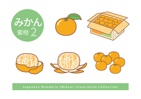 みかんのイラストセット2 みかん,葉っぱ,葉付き,箱入り,ダンボール,みかん箱,剥く,剥き方,皮,たくさんのイラスト素材