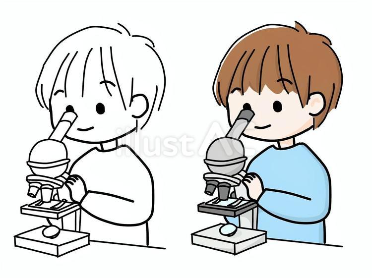 顕微鏡で観察している男の子 子ども,理科,顕微鏡のイラスト素材