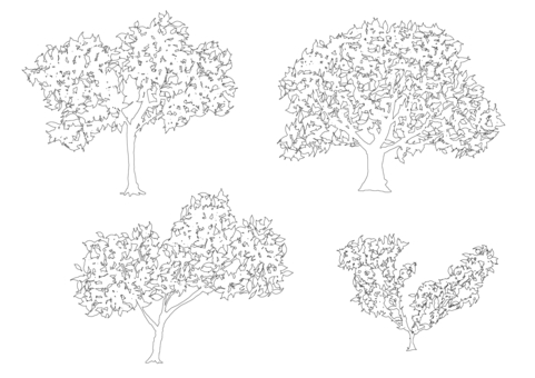 Illustration, monochrome, trees, natural, 