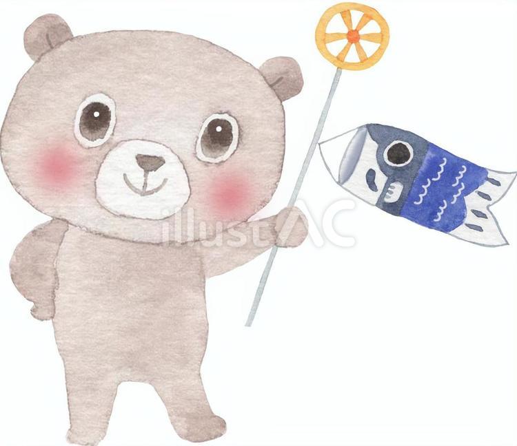 くまと鯉のぼり くま,鯉のぼり,端午の節句のイラスト素材