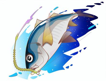 アジング アジ,アジング,ルアーフィッシング,ルアー,釣りのイラスト素材