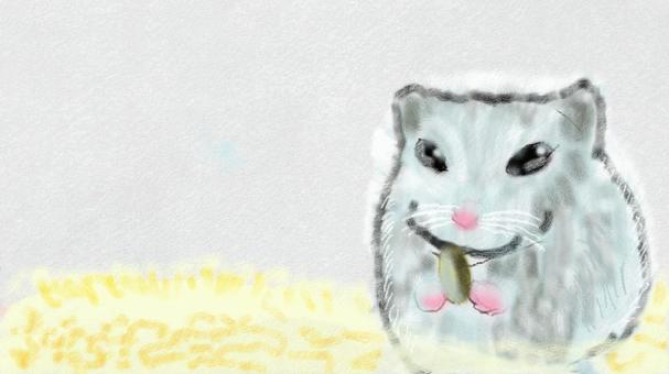 hamster, JPG hamster, , JPG