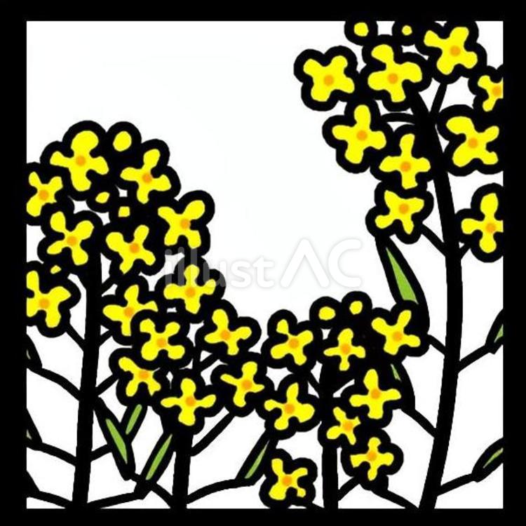 切絵図案(正方形)3月　菜の花 切り絵,図案,デザインのイラスト素材