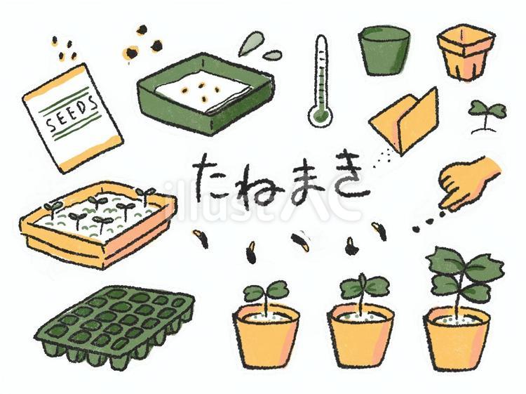 種まきのイラストセット 季節,行事,イベントのイラスト素材