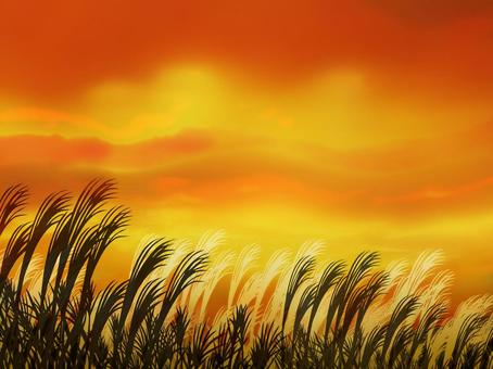 Axle and sunset, JPG Axle and sunset, thin, sunset, susuki, JPG