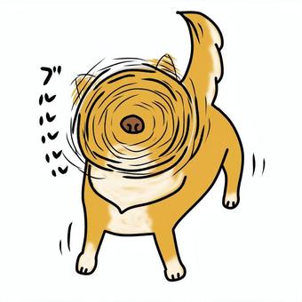 犬ドリルをする柴犬 犬ドリル,柴ドリル,柴犬,犬,ドリル,かわいい,回転,デフォルメ,ゆるい,手描きのイラスト素材