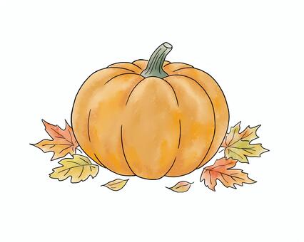 かぼちゃ かぼちゃ,カボチャ,南瓜,パンプキン,秋,ハロウィン,感謝祭,紅葉,もみじ,楓のイラスト素材