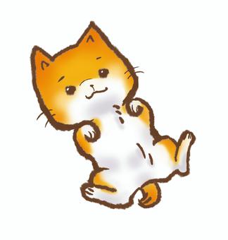 やる気のない犬
