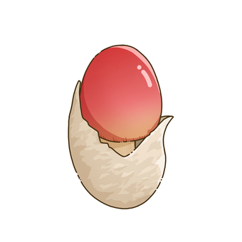 タマゴタケのイラスト きのこ,キノコ,タマゴタケ,卵茸,茸,テングダケ,菌類,菌,幼菌,植物のイラスト素材