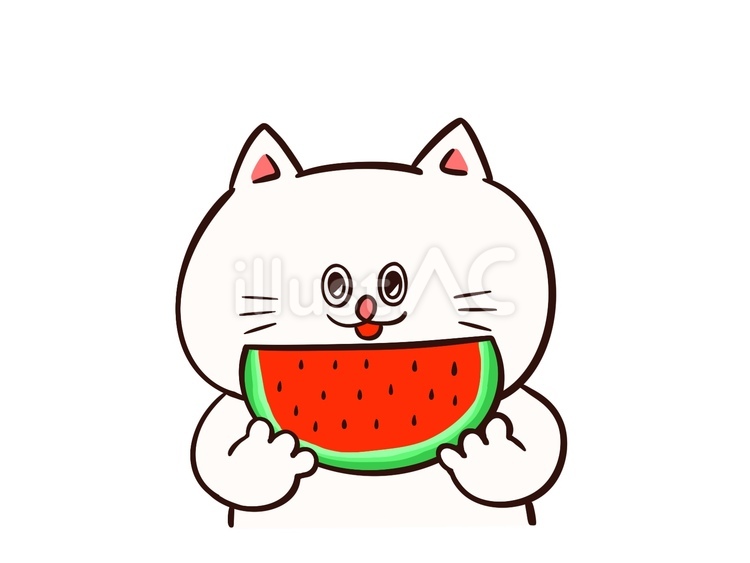 スイカと白猫 スイカ,夏,食べ物のイラスト素材