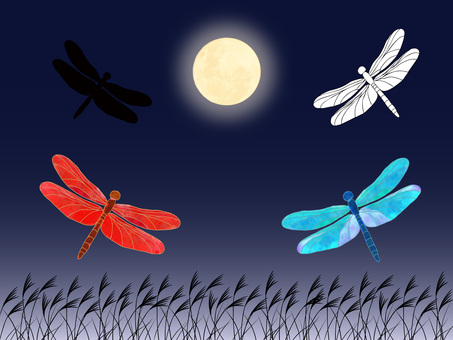 Illustration, dragonfly, libellule rouge, bleu, 