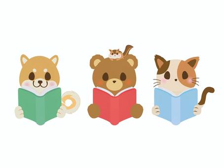 集中して本を読む動物たち 柴犬,熊,リス,三毛猫,動物,本,読書,集中,趣味,上半身のイラスト素材