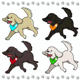 ゴールデンレトリーバー子犬セット 犬,ゴールデンレトリーバー,子犬,レトリーバー,ペット,動物,生き物,白犬,黒犬のイラスト素材