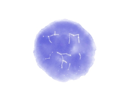 冬の星座 星座,冬,オリオン座,おいぬ座,こいぬ座,双子座,ぎょしゃ座,夜空,星,天体のイラスト素材