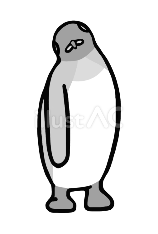 首をかしげるキングペンギン　グレー キングペンギン,オウサマペンギン,ペンギンのイラスト素材
