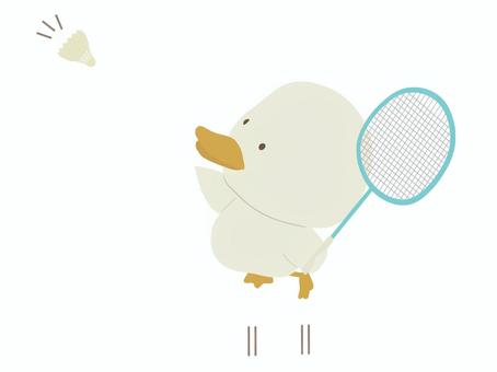 バドミントンをするあひる バドミントン,鳥,アヒル,動物,かわいい,スポーツのイラスト素材
