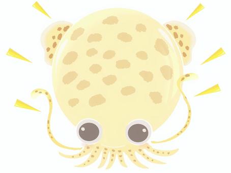 Illustration, calmar ovale (sepioteuthis lessoniana), animal, mignon, 
