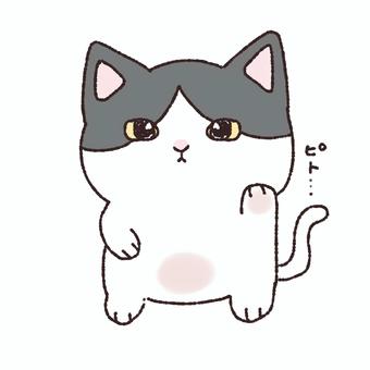 Illustration, cat, animal, tiny, 