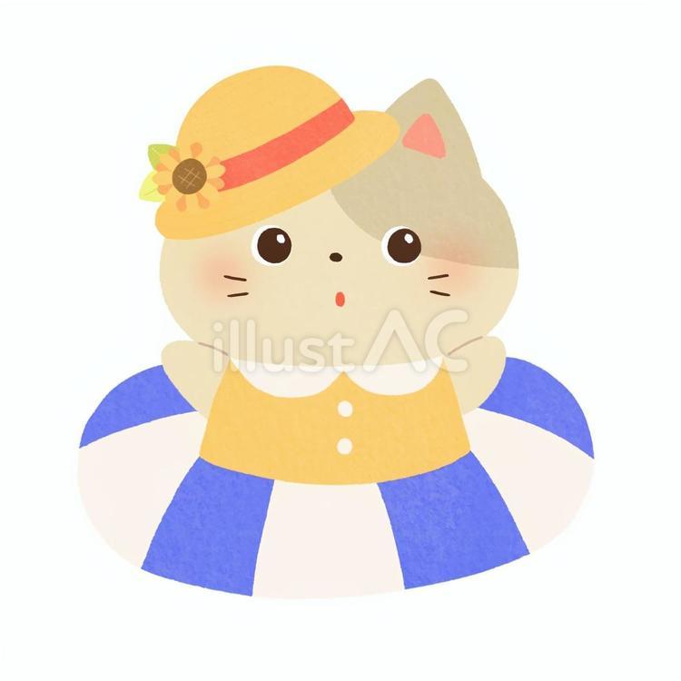 猫と浮き輪 浮き輪,猫,夏のイラスト素材