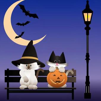 Cat and Halloween _sg 01, cat, cat, cat, JPG and PNG