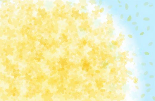 青空と黄色い花の背景 菜の花,黄色,植物,木,キラキラ,光彩,花,かわいい,おしゃれ,4月のイラスト素材