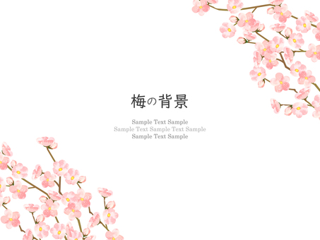 梅の花のフレーム、背景09 梅,花,水彩,手描き,梅花,フレーム,背景,梅の花,和,和風のイラスト素材