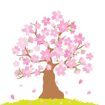 Simple hand-painted cherry tree material, , JPG, PNG and AI