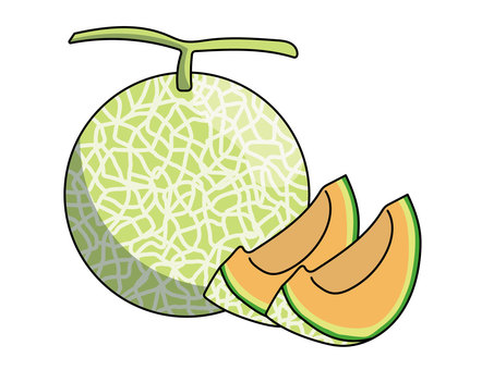 Illustration, melon, fruit, fruits, 