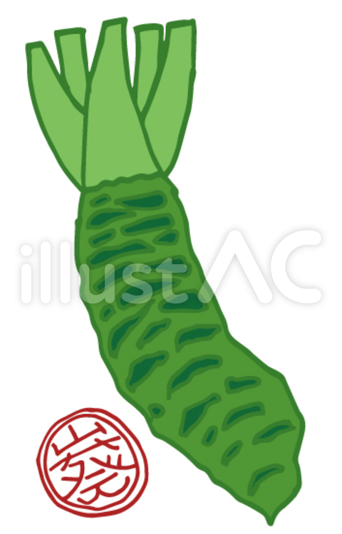 わさび-03 わさび,辛い,植物のイラスト素材