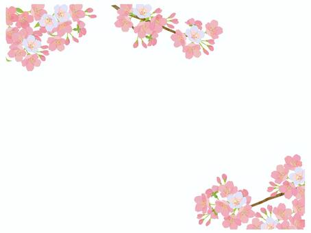 Cherry blossom frame, cherry blossoms, spring, march, JPG and PNG