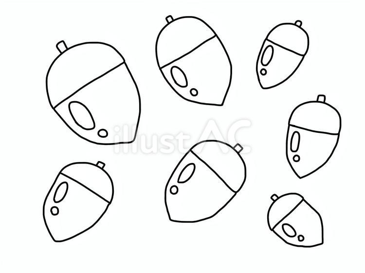 どんぐり塗り絵 どんぐり,秋,実のイラスト素材