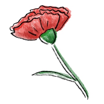 Carnation watercolor, , JPG and PNG